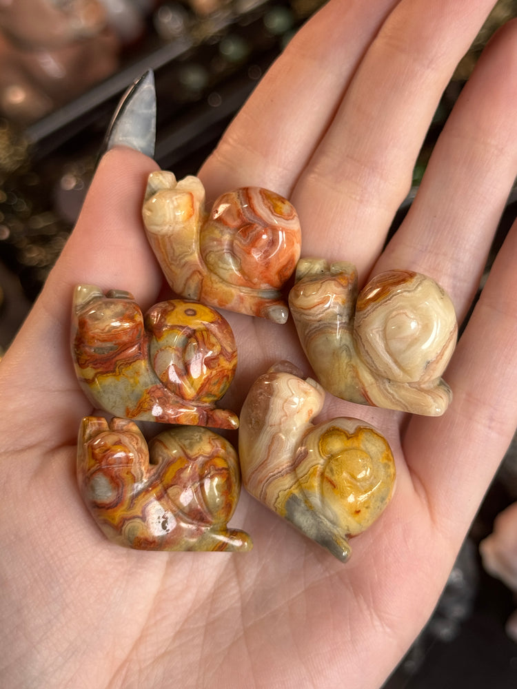 Mini Crazy Laced Agate Snail