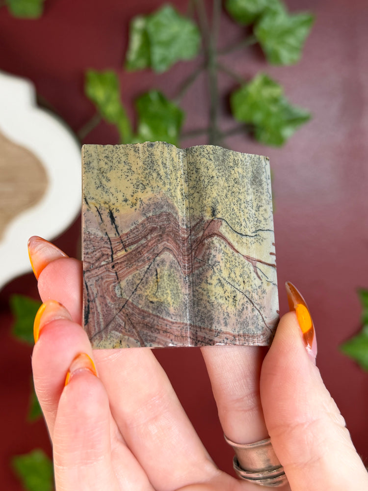 Picture Jasper “Book”