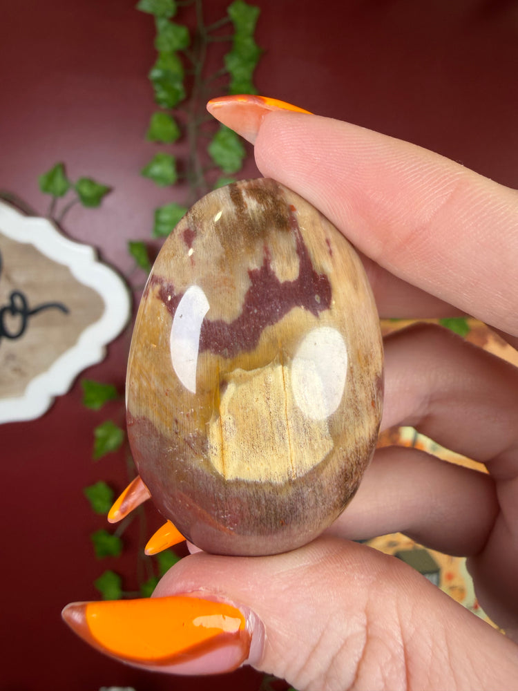 Petrified Wood Palm Stone