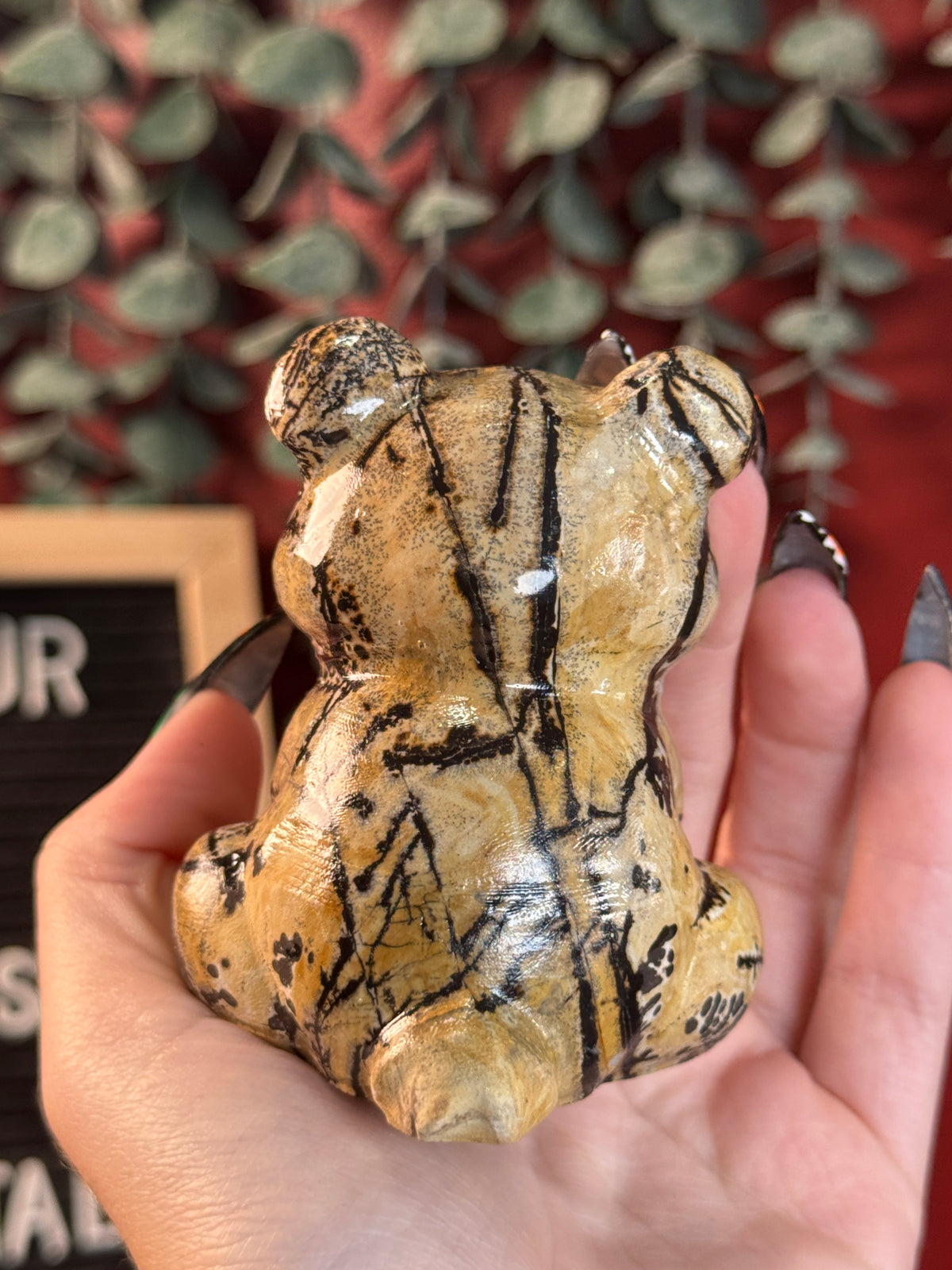 Picture Jasper Bear