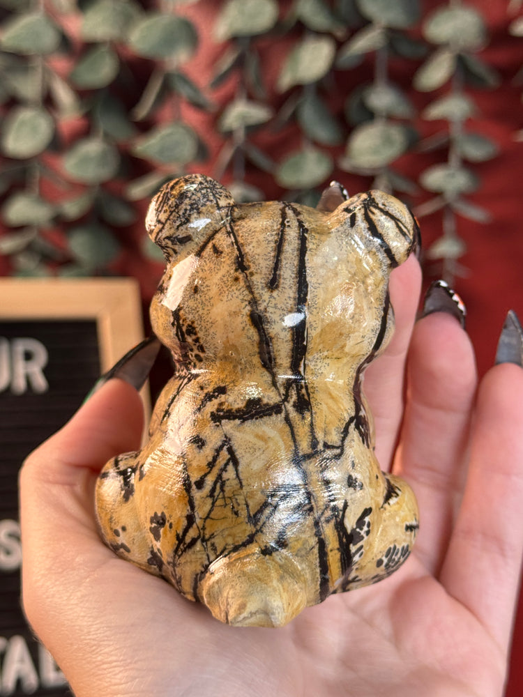 Picture Jasper Bear