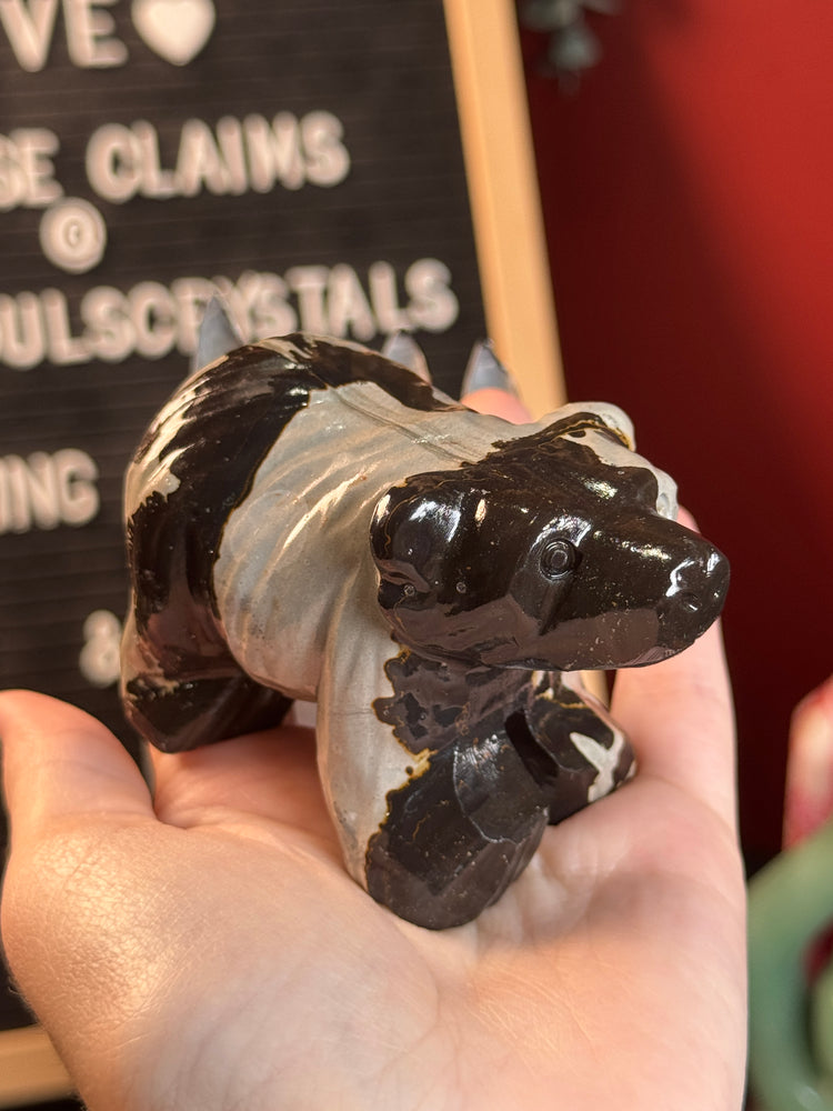 Picture Jasper Bear