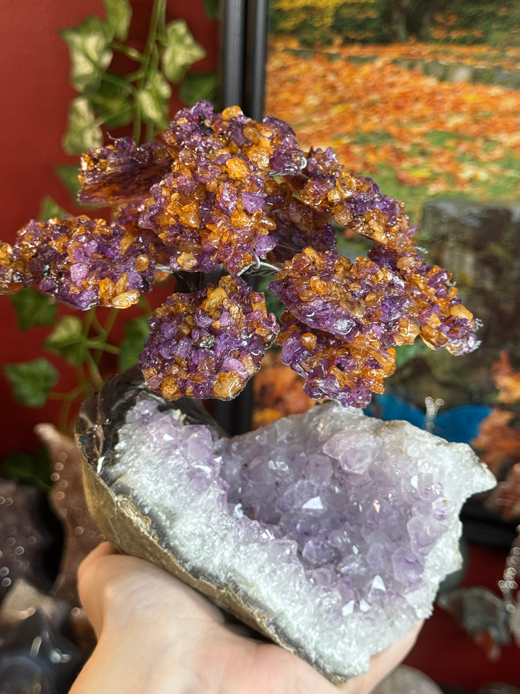 Amethyst Citrine Chips Tree