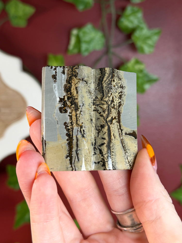 Picture Jasper “Book”