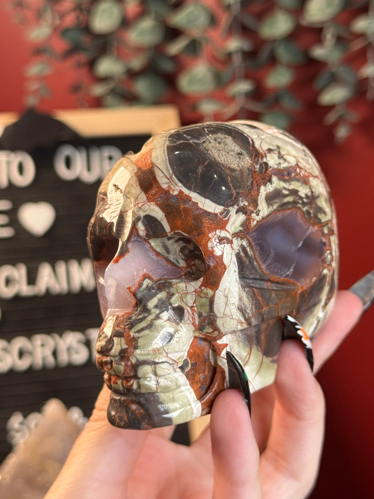 Money Agate Skull