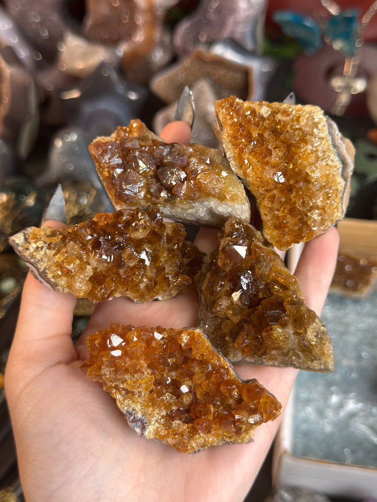 Intuitively Selected HT Citrine Cluster