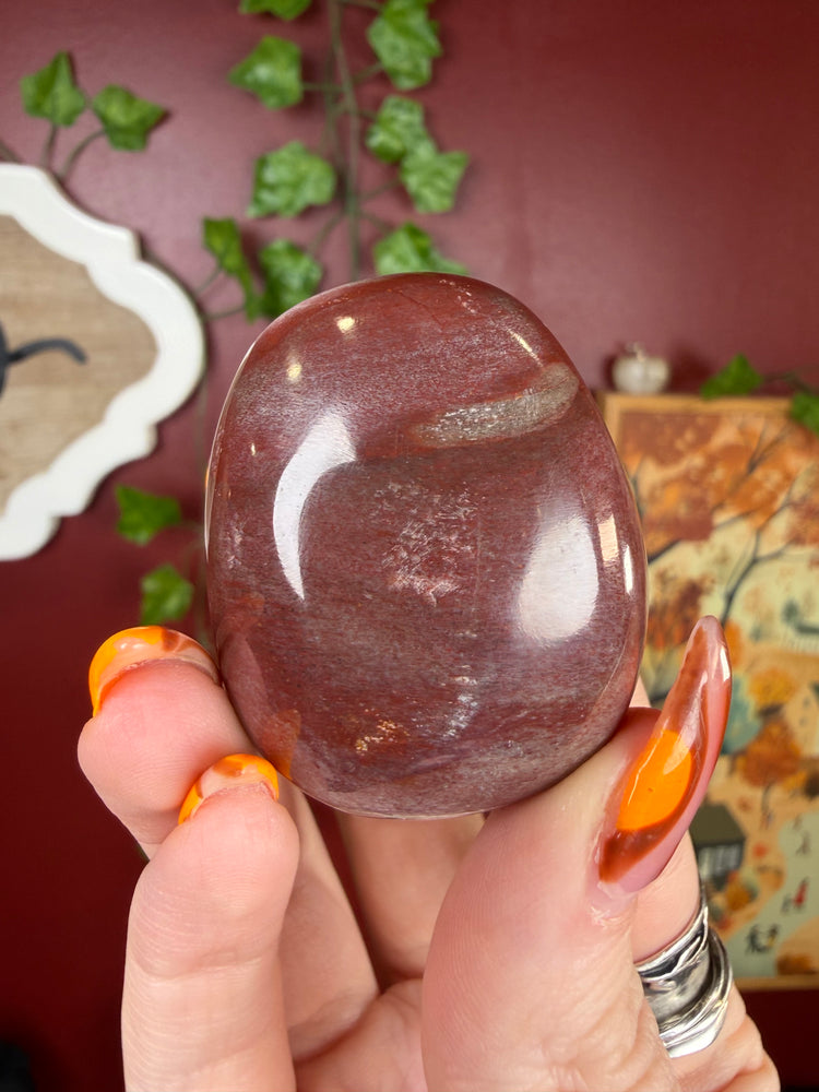 Petrified Wood Palm Stone
