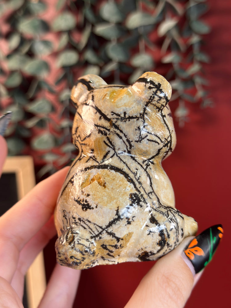 Misfit Picture Jasper Bear