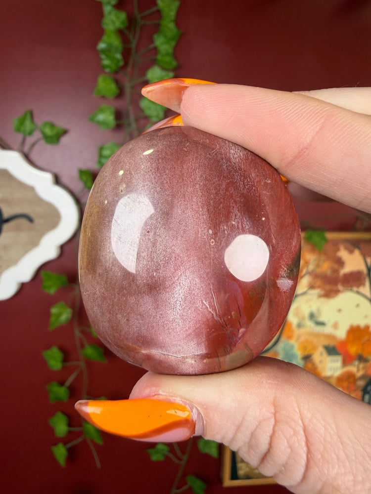 Petrified Wood Palm Stone