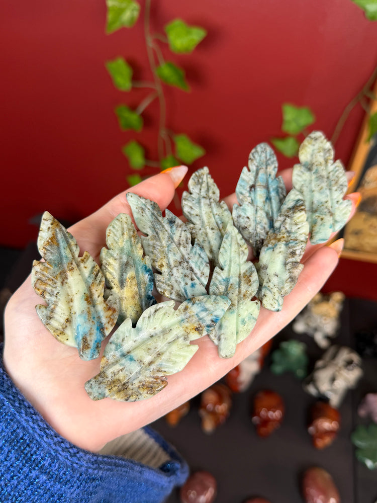 Hackmanite Leaf