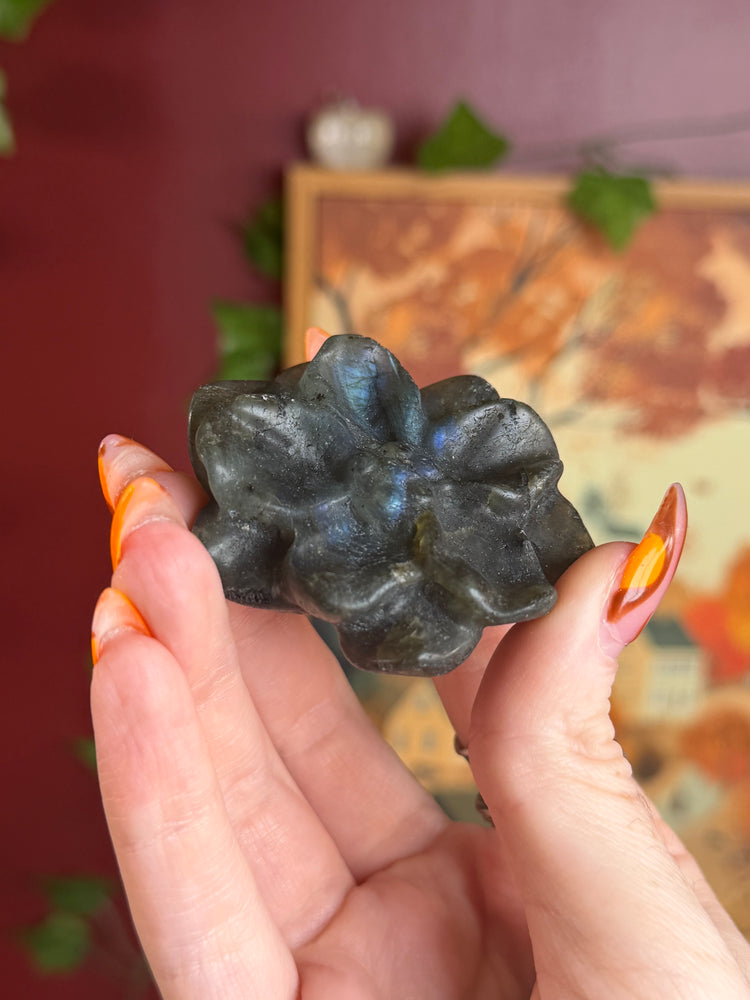 Labradorite Flower