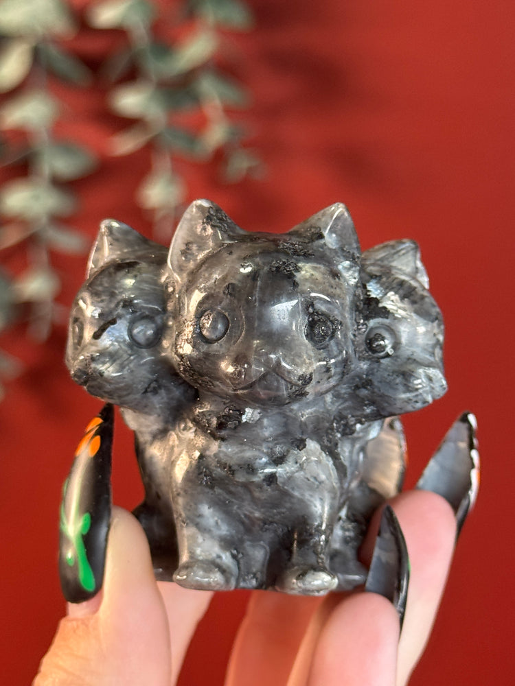 Larvikite Cerberus