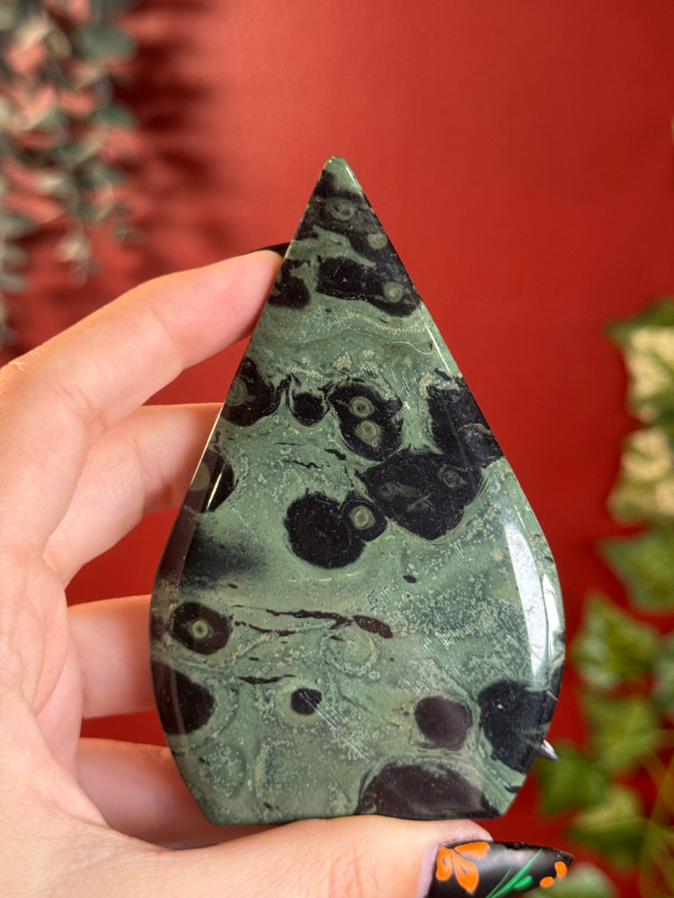 Kambaba Jasper Freeform