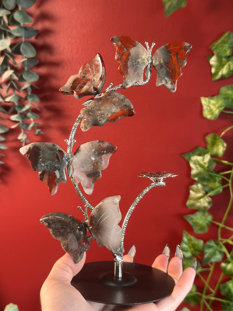 African Bloodstone Butterfly Sphere Holder