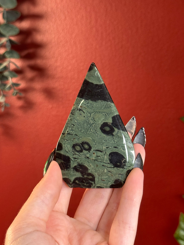 Kambaba Jasper Freeform