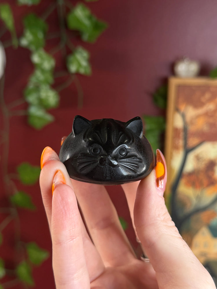 Obsidian Dumpling Cat
