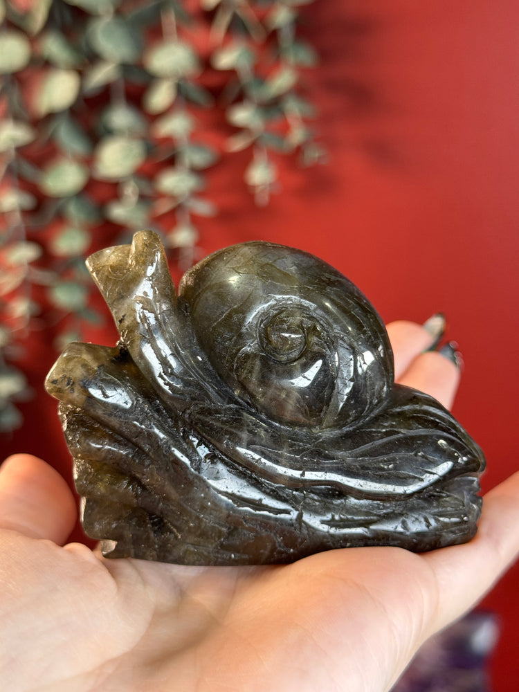 Labradorite Snail
