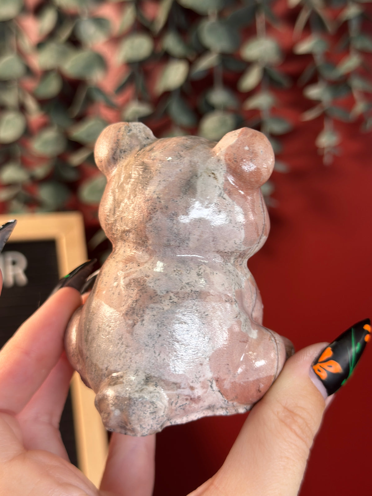 Picture Jasper Bear