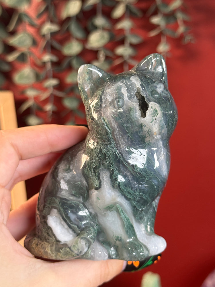 Moss Agate Cat