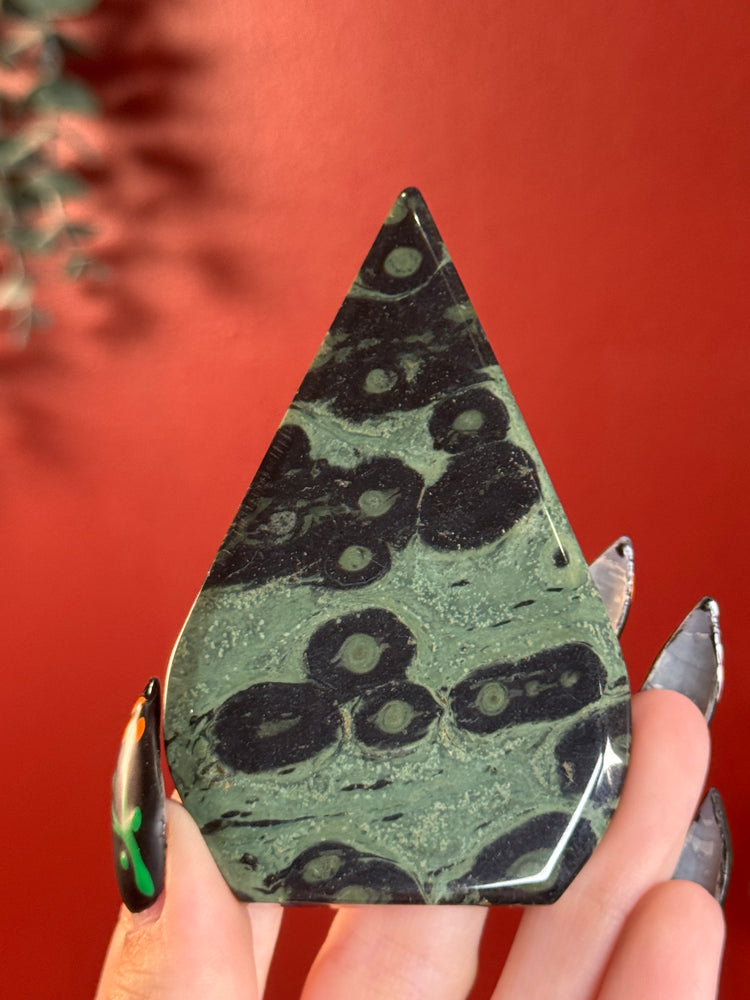 Kambaba Jasper Freeform