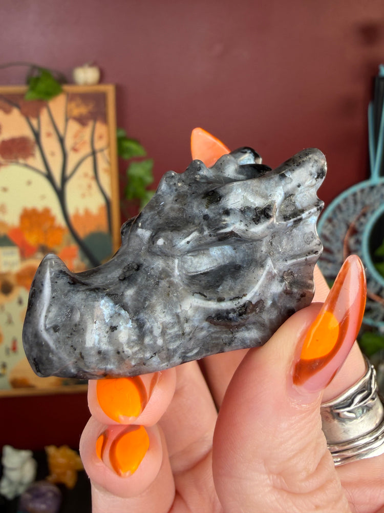 Larvikite Dragon Skull