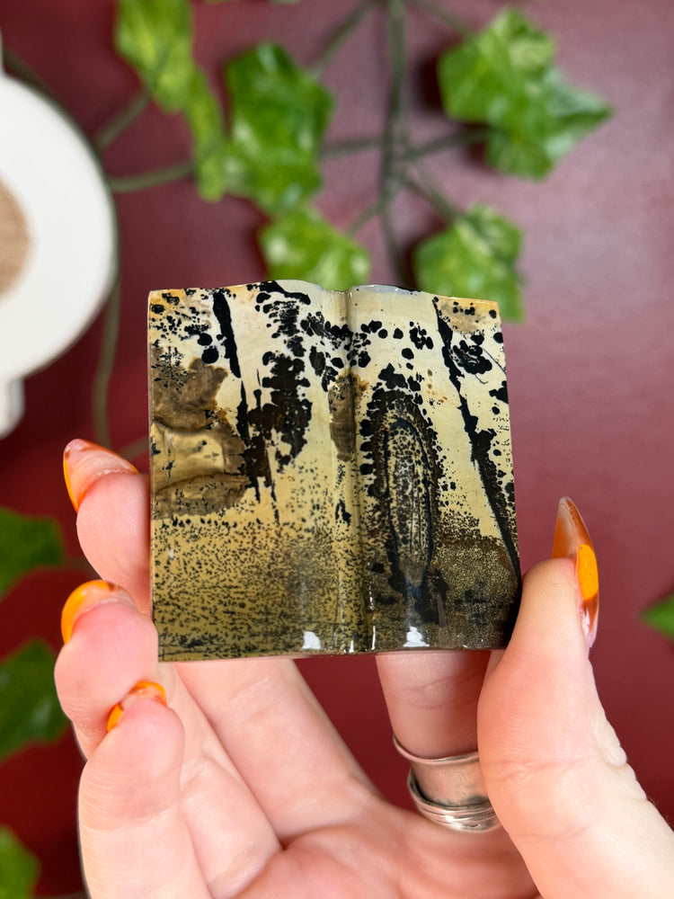 Picture Jasper “Book”