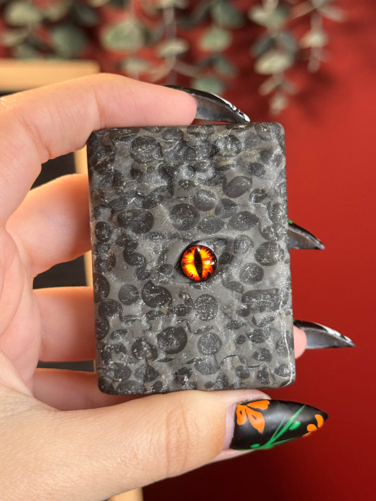 Fruit Jasper Dragon Book