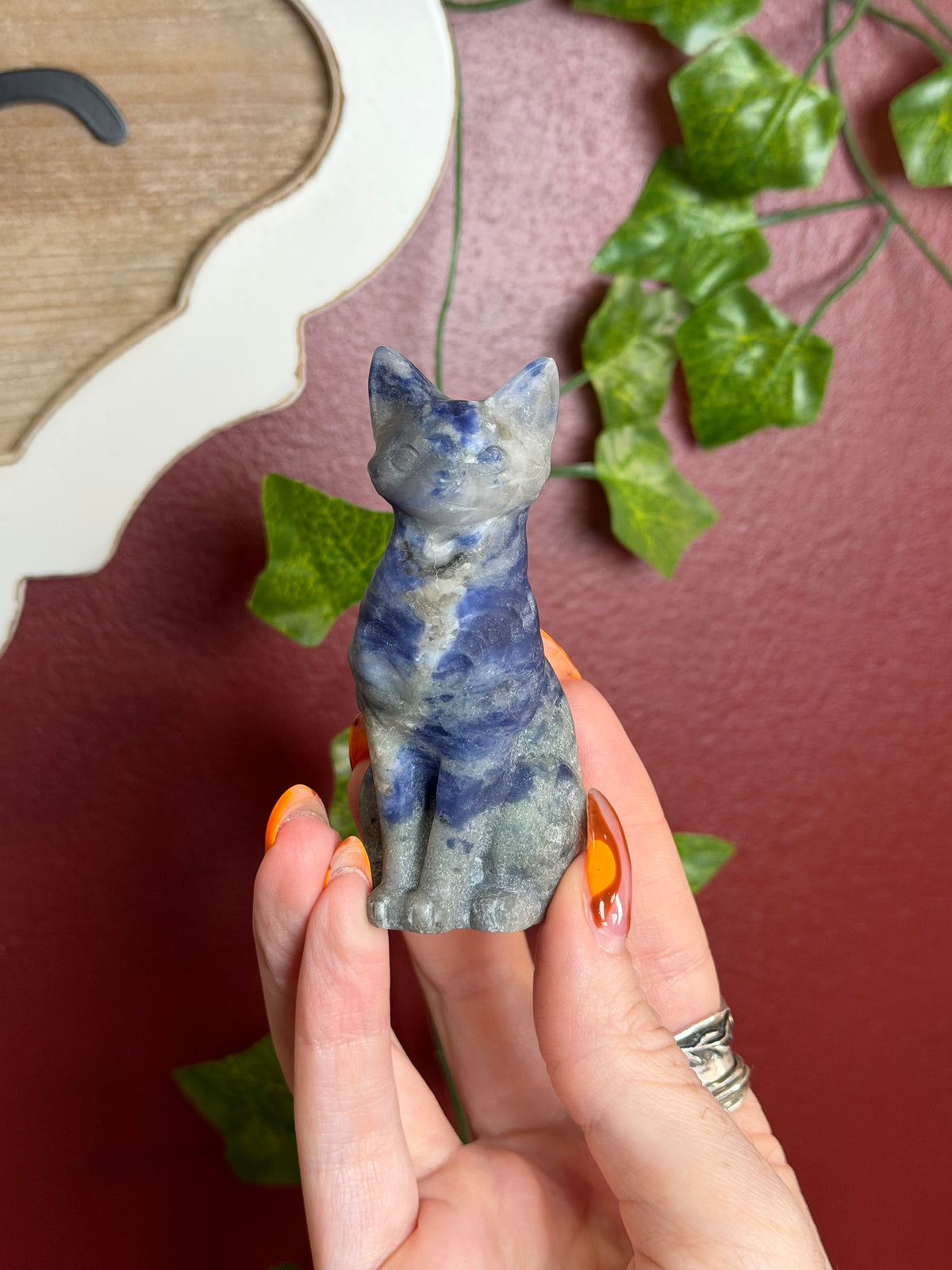 Sodalite Cat