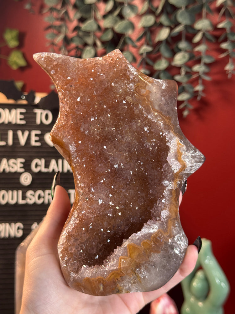 Polished orbicular jasper freeform