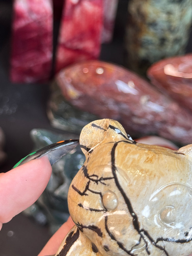 Misfit Picture Jasper Bear