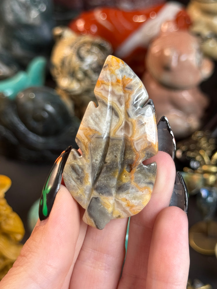 Crazy Laced Agate Feather