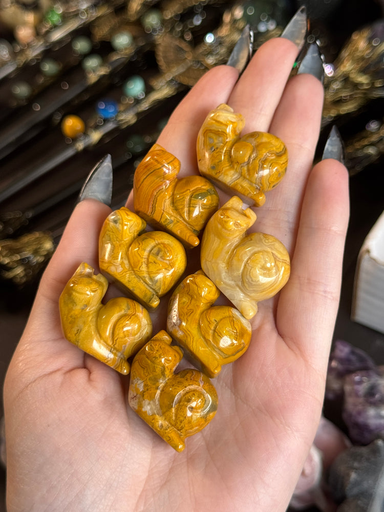 Crazy Laced Agate Snail