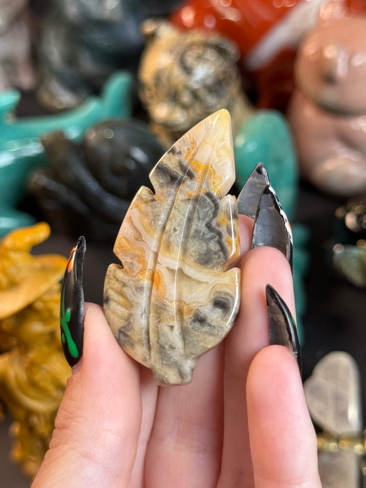 Crazy Laced Agate Feather