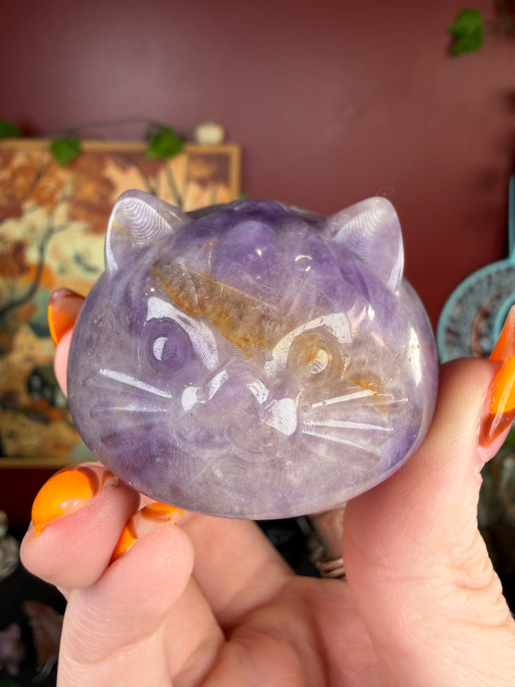 Amethyst Dumpling Cat