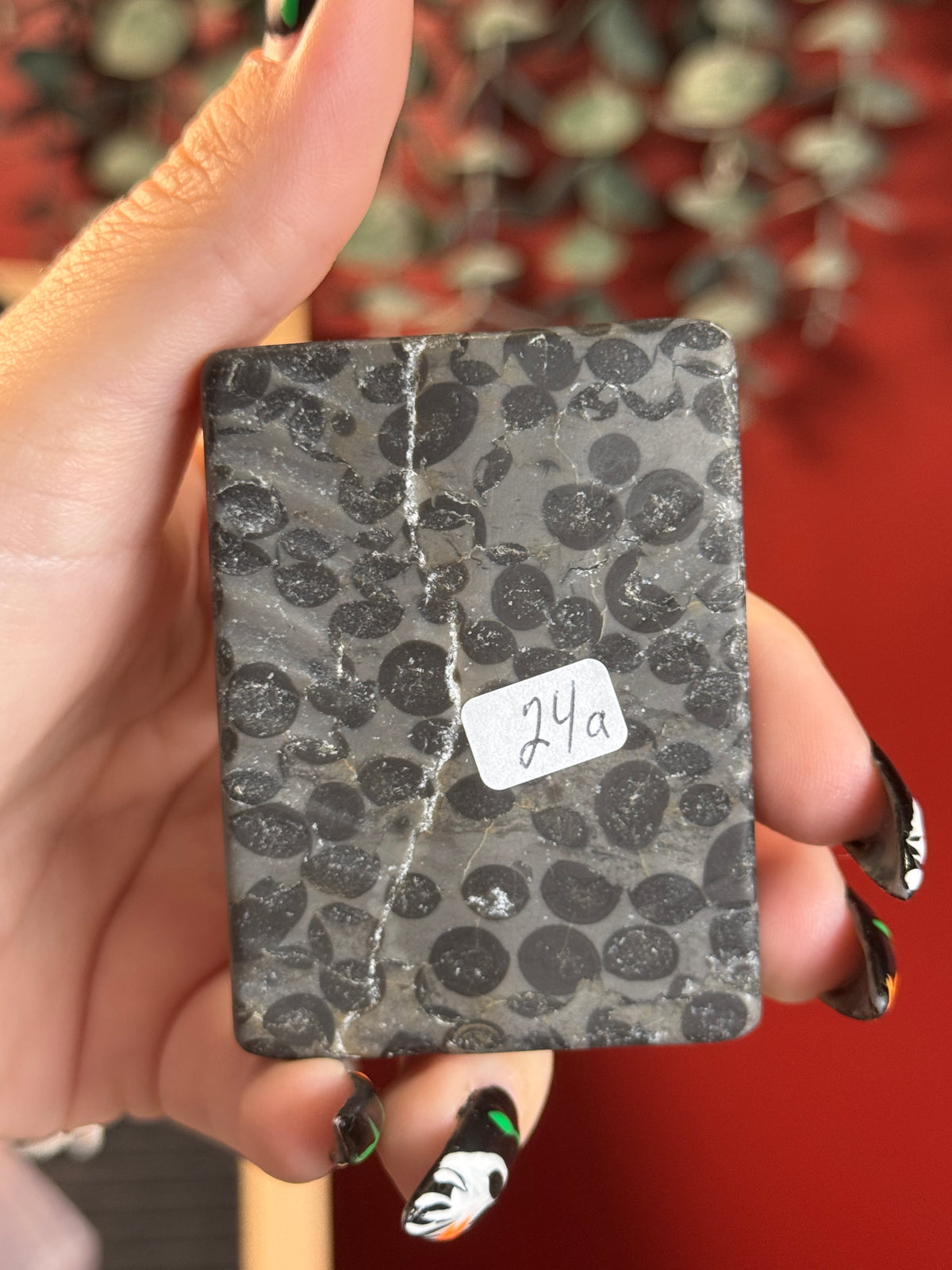 Fruit Jasper Dragon Book