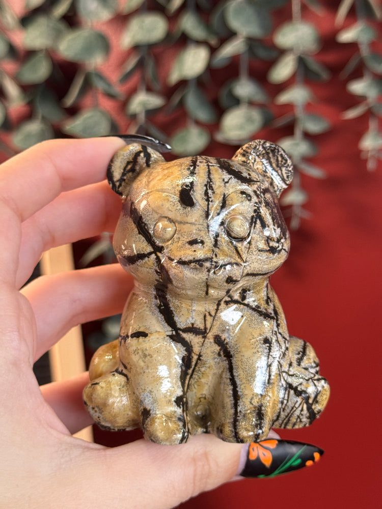 Picture Jasper Bear