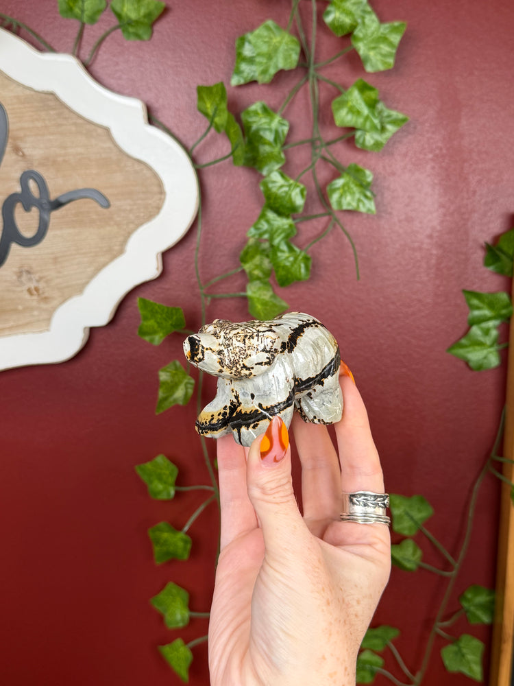 Picture Jasper Bear