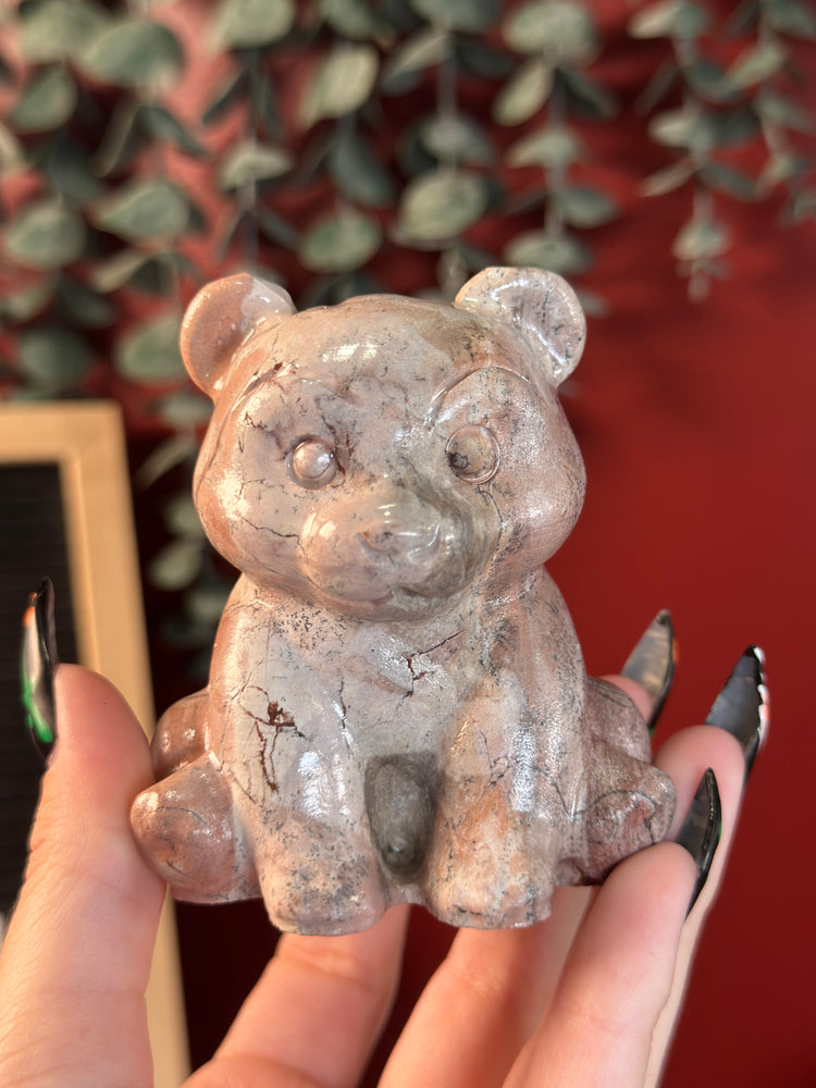 Picture Jasper Bear