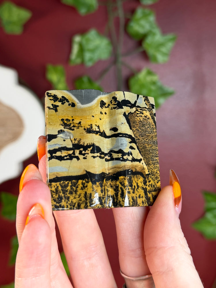 Picture Jasper “Book”