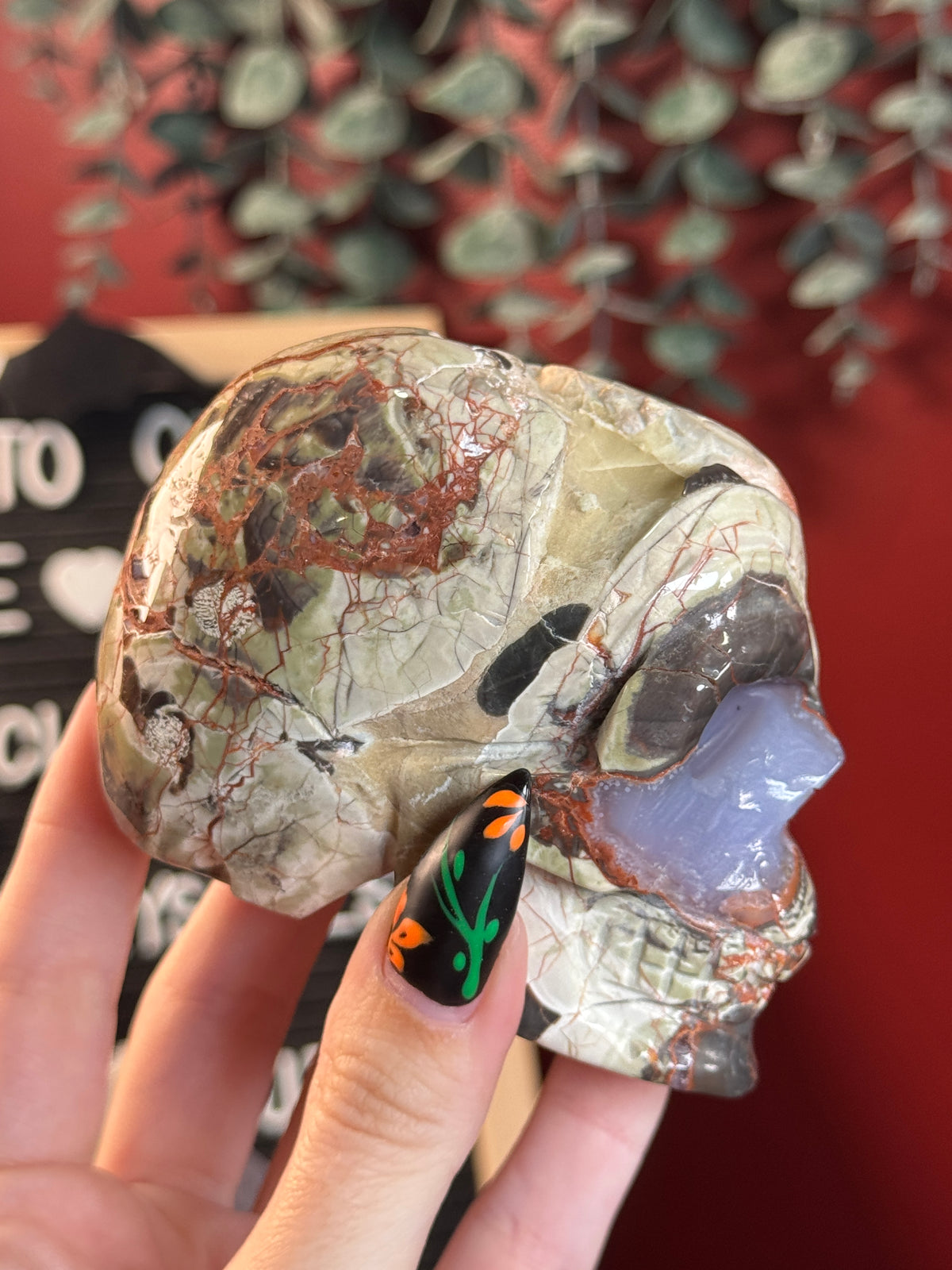 Money Agate Skull