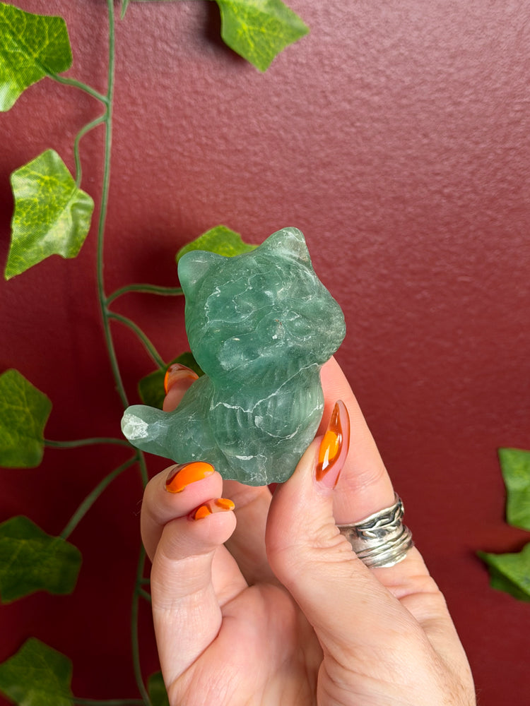 Fluorite Cat
