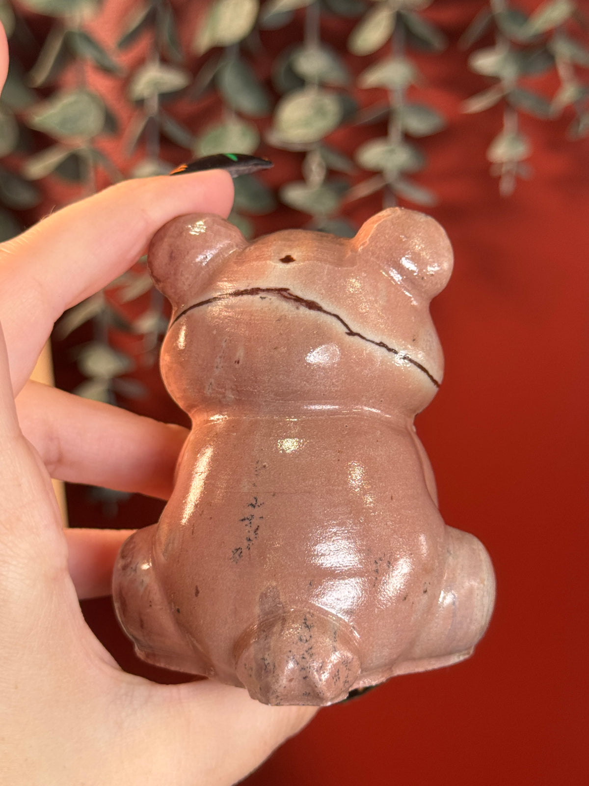 Picture Jasper Bear