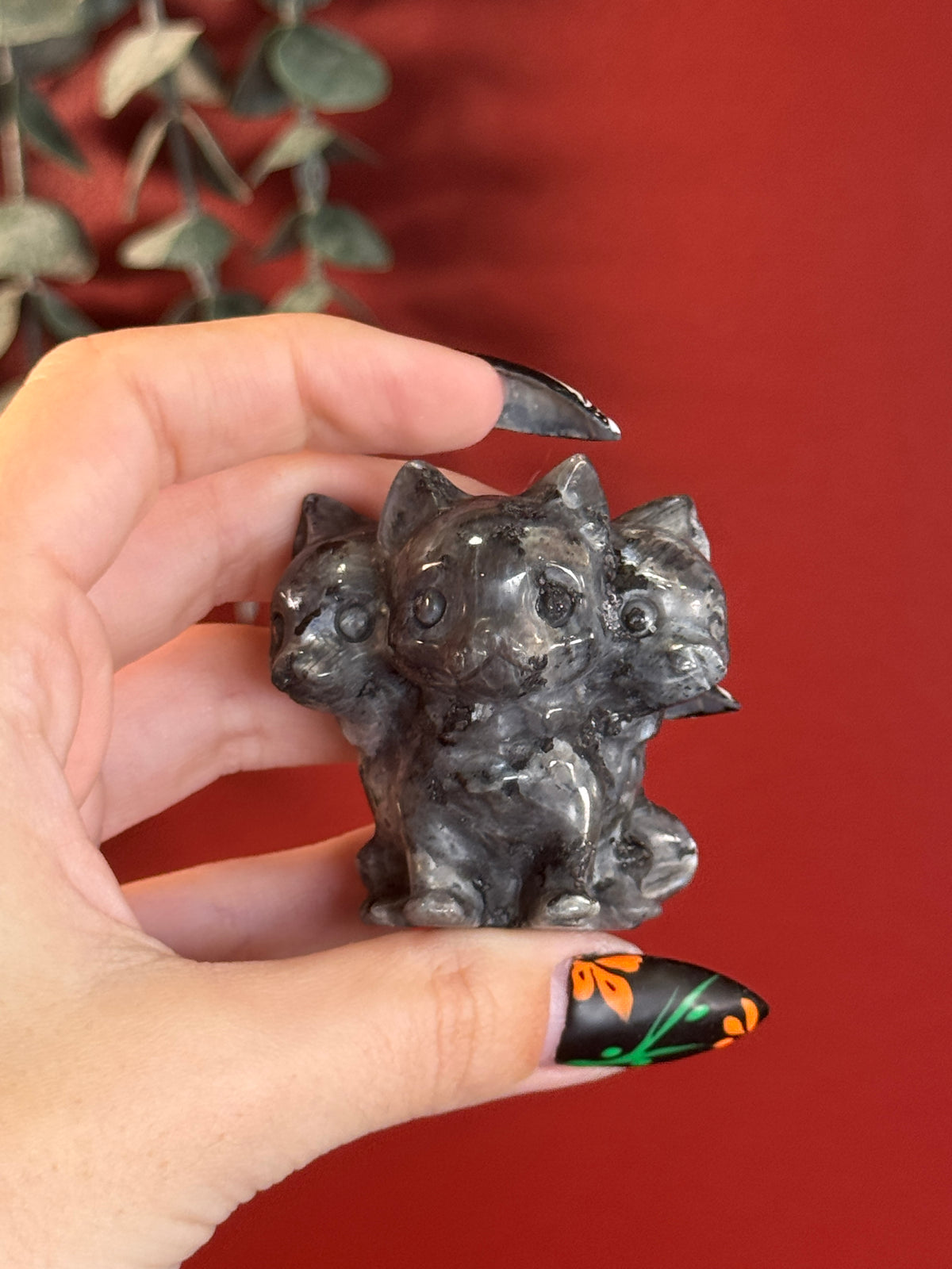 Larvikite Cerberus