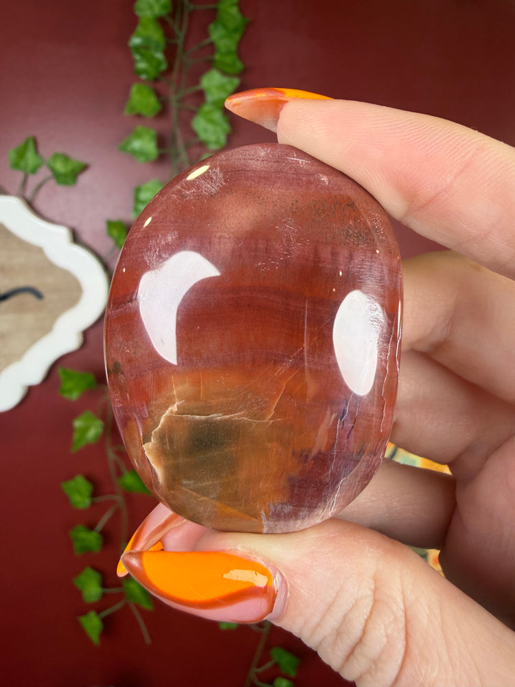 Petrified Wood Palm Stone