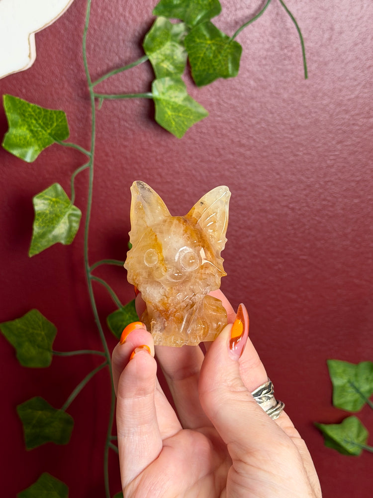Golden Healer Fox