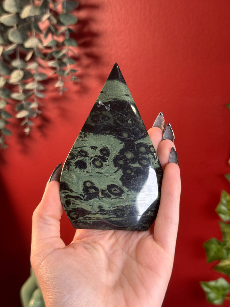 Kambaba Jasper Freeform