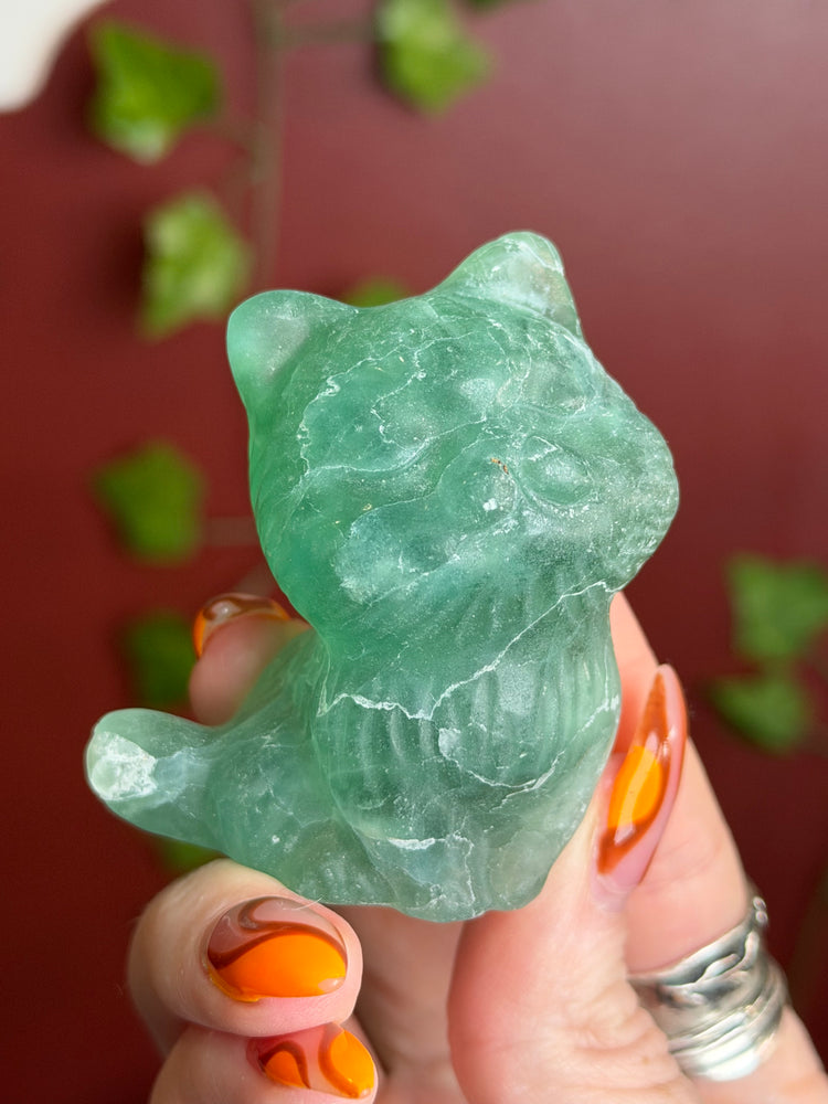 Fluorite Cat