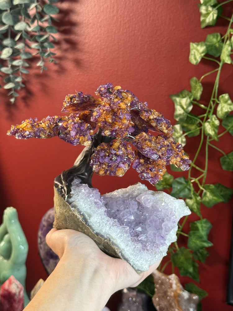 Amethyst Citrine Chips Tree