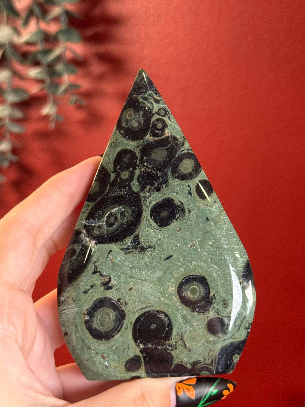 Kambaba Jasper Freeform