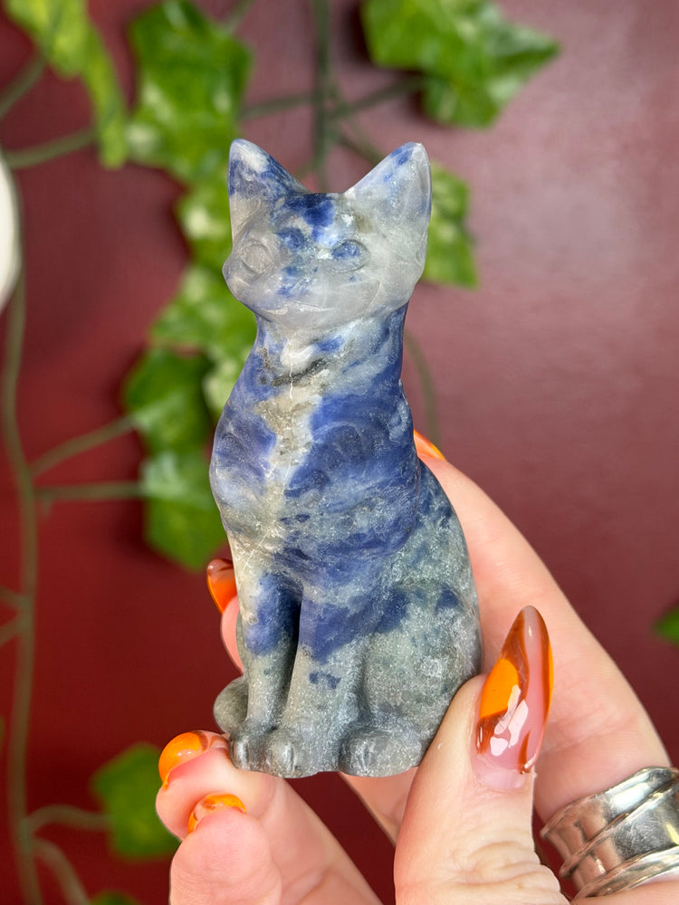 Sodalite Cat